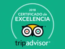 Mejor restaurante italiano valencia cinquecento tripadvisor2